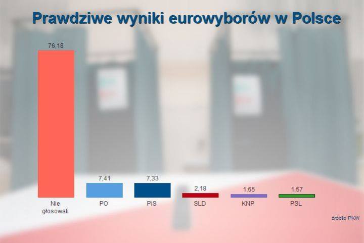 EU prawdziwe Wybory w Polsce